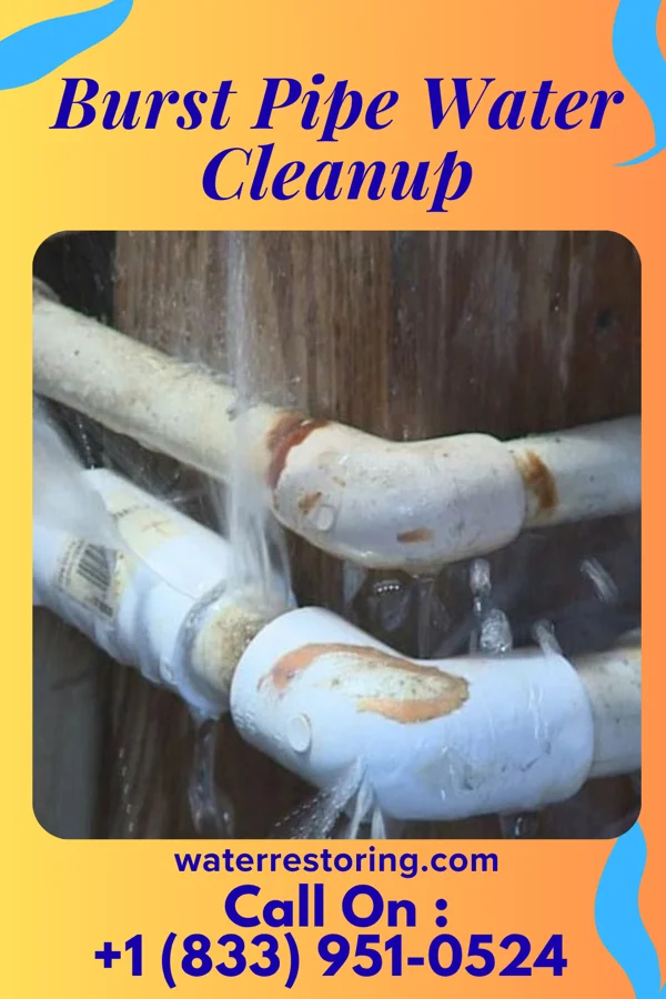 Burst Pipe Water Cleanup in Rockwood, TN