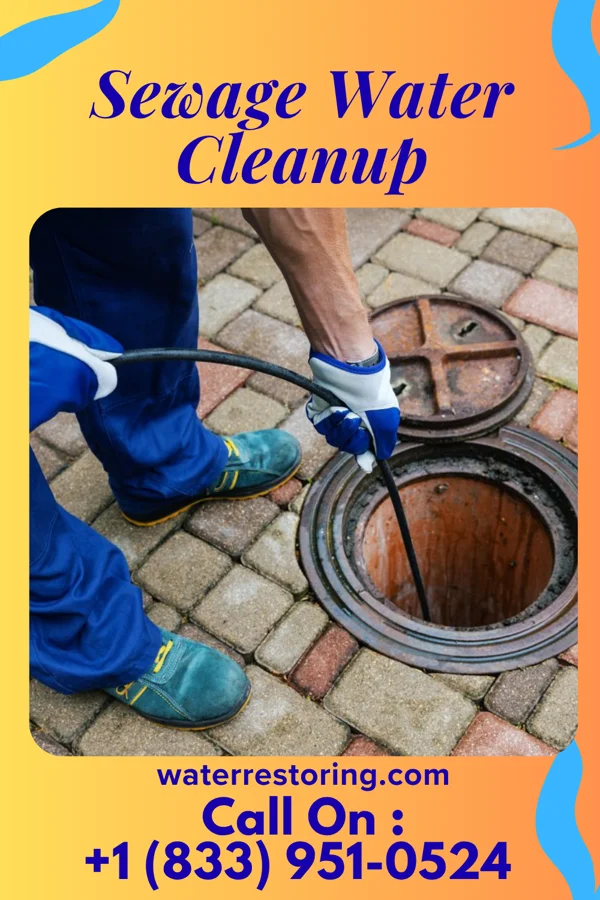 Sewage Water Cleanup in Rockwood, TN